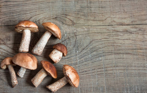 istock mushrooms lie on a wooden board with copy space 1170961629