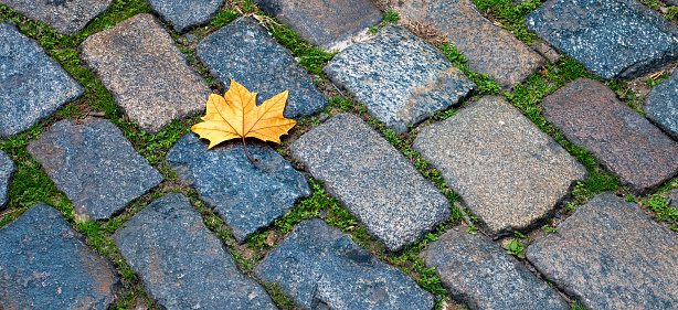 Background of a paved street with paving stones that represents autumn
