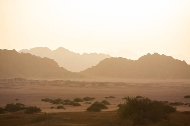 bellissimo tramonto nel deserto - fog desert arabia sunset foto e immagini stock