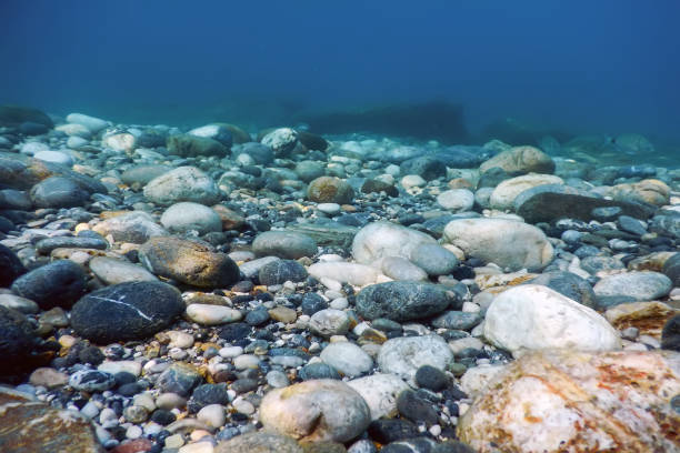 istock Underwater Rocks and Pebbles on the Seabed 1170961872