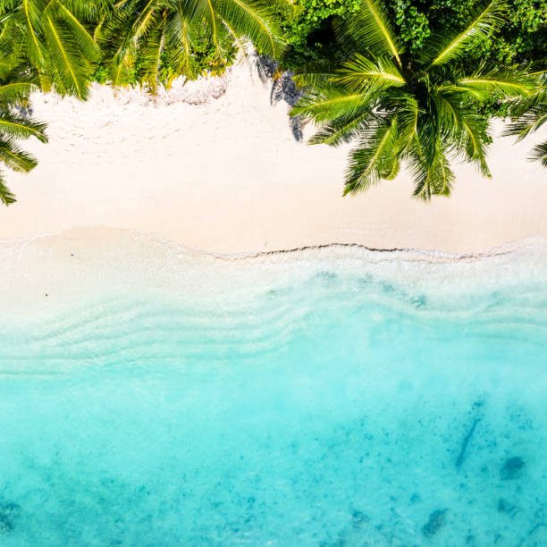 spiaggia tropicale nell'oceano, maldive - travel luxury aerial view beach foto e immagini stock