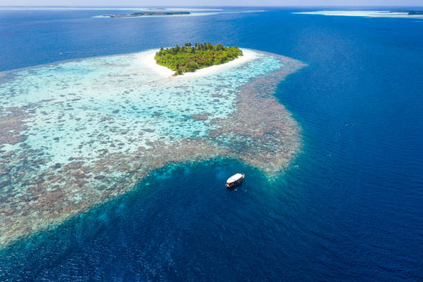 istock Tropical Island in the Ocean 1170964816