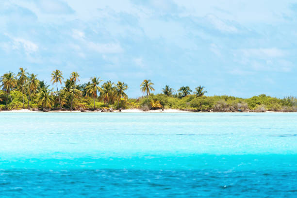 istock Tropical Beach with Palm Trees in the Ocean 1170965797