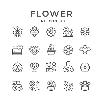 Set line icons of flower isolated on white. Vector illustration