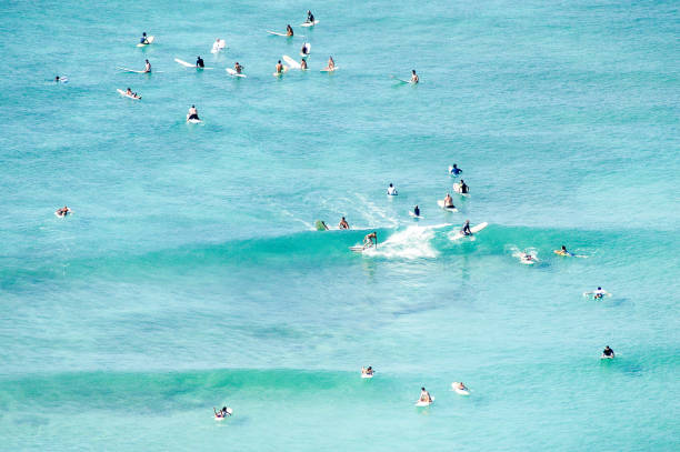 istock Hawaii beach surfers 1170966179