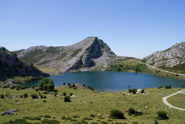 istock Covadonga lakes, Asturias 1170969085