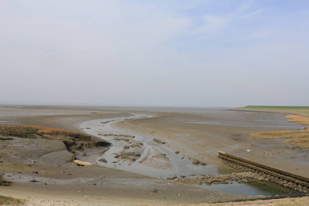 istock a channel in a salt marsh along river scheldt 1170976603