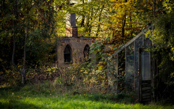 istock walk in autumn park, colorful nature 1170980499