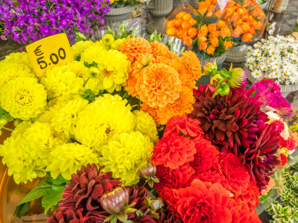 die welterbestadt rom in italien - rome flower market store flower stock-fotos und bilder