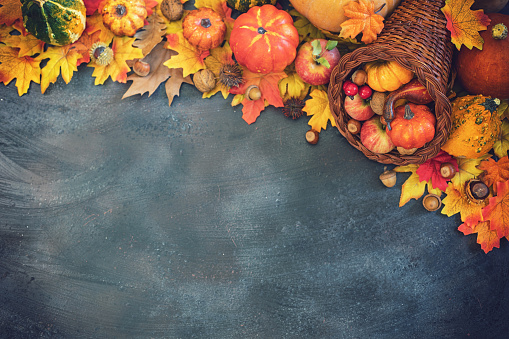 Decorated autumn cornucopia with pumpkins and leaves on the rustic background