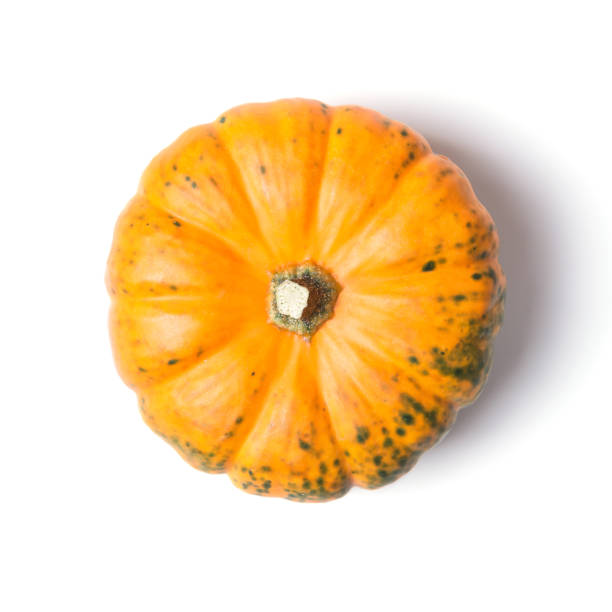 istock Decorative mini pumpkin isolated on white background, top view 1170982399