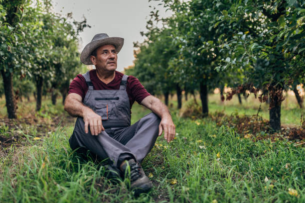 istock Tired senior farmer sitting in orchard 1170983648