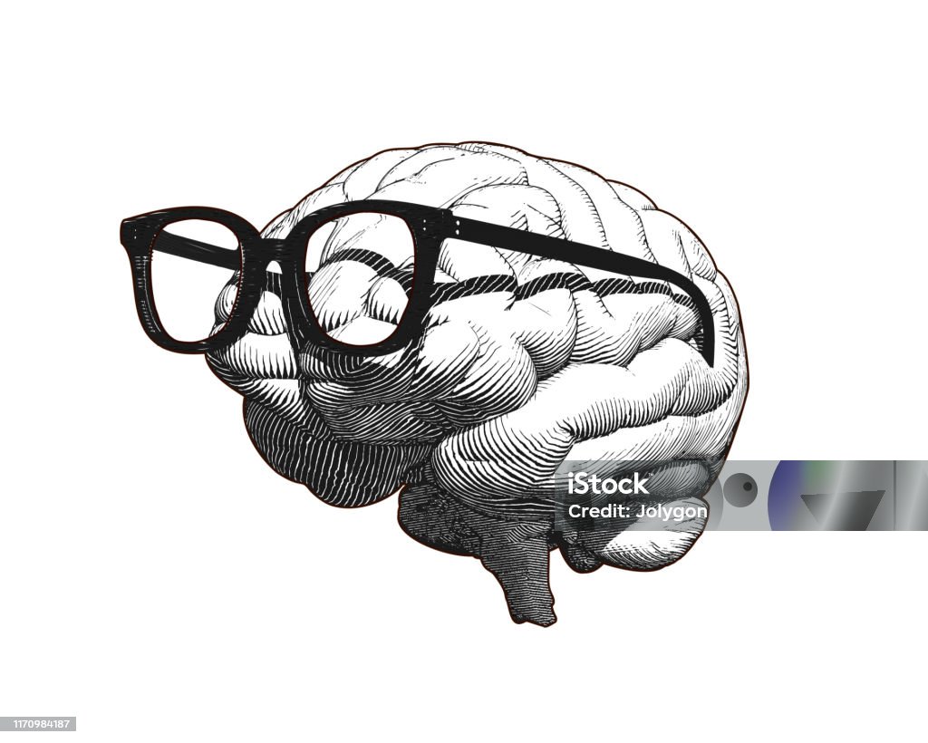 Cerebro con gafas dibujando ilustración aislada en BG blanco - arte vectorial de Inteligencia libre de derechos