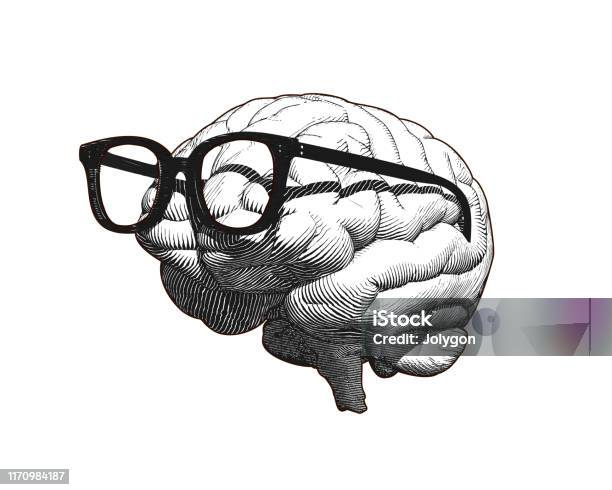 Ilustración de Cerebro Con Gafas Dibujando Ilustración Aislada En Bg Blanco y más Vectores Libres de Derechos de Inteligencia