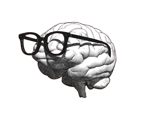 Brain with glasses drawing illustration isolated on white BG Monochrome retro engraving human brain with old retro glasses illustration in side view isolated on white background genius stock illustrations