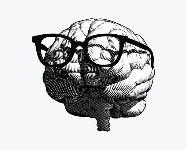 Brain with glasses drawing illustration isolated on white BG monochrome retro engraving human brain with black old glasses illustration in front view isolated on white background uncool stock illustrations