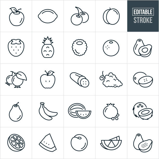 Fruit Thin Line Icons - Editable Stroke A set of fruit icons that include editable strokes or outlines using the EPS vector file. The icons include an apple, lemon, lime, cherries, peach, strawberry, pineapple, raspberry, blackberry, blueberries, orange, avocado, cucumber, grapes, cantaloupe, pear, bananas, watermelon, pomegranate, coconut and papaya. lemon fruit stock illustrations
