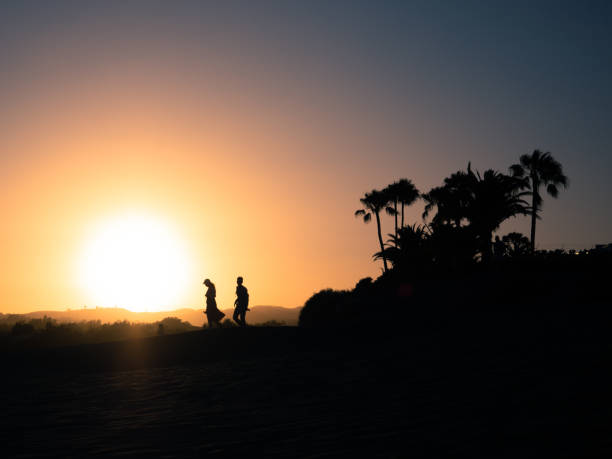 Silhouette of a couple walking from palm trees to the beach at sunset with the sun in the background