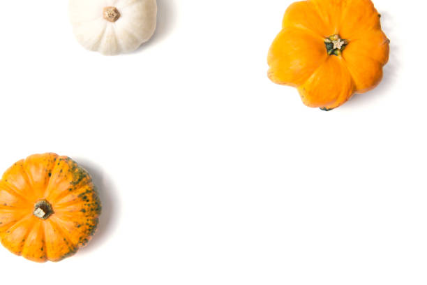 istock Frame made of decorative mini pumpkins isolated on white background, top view 1170988887