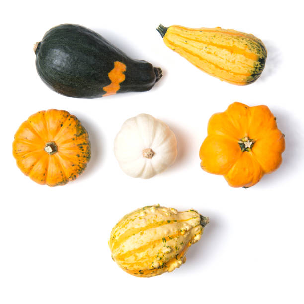 Decorative mini pumpkins isolated on white background, top view