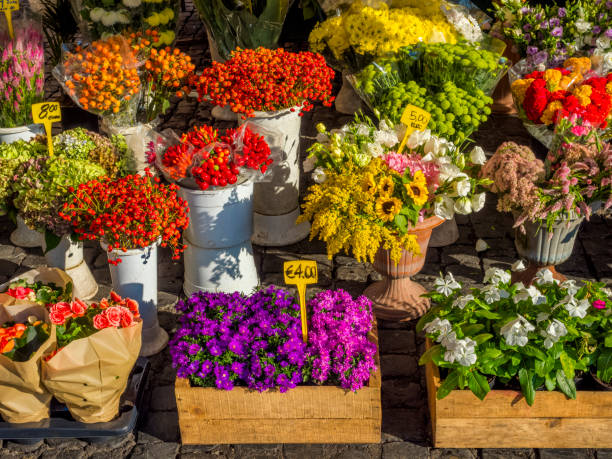 die welterbestadt rom in italien - rome flower market store flower stock-fotos und bilder