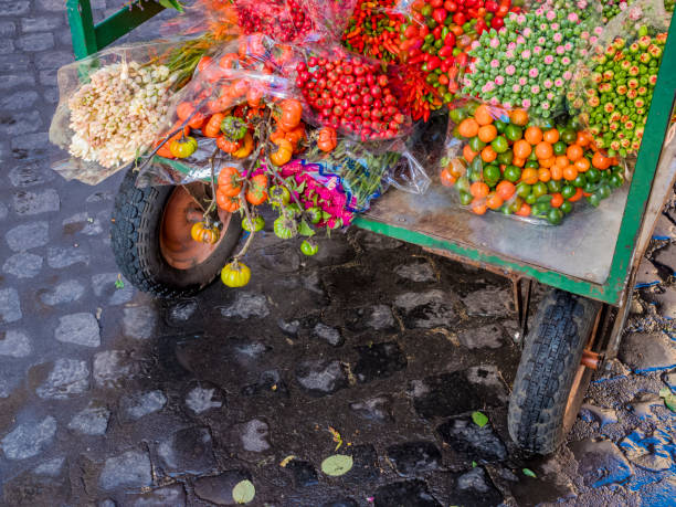 die welterbestadt rom in italien - rome flower market store flower stock-fotos und bilder