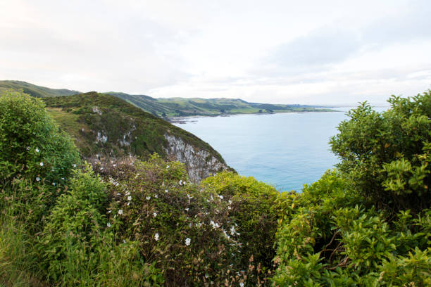istock Scenery of Nugget Point 1170998712