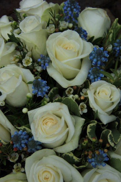 istock blue and white wedding flowers 1170998916
