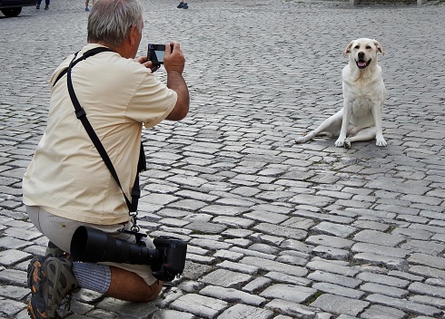 Seventy year old senior man with his service dog photographing Rothenburg, Germany