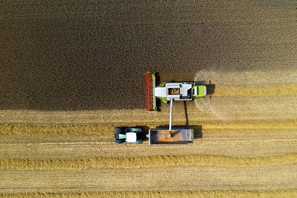 istock Farm Machines Harvesting Corn, Aerial View 1171003997