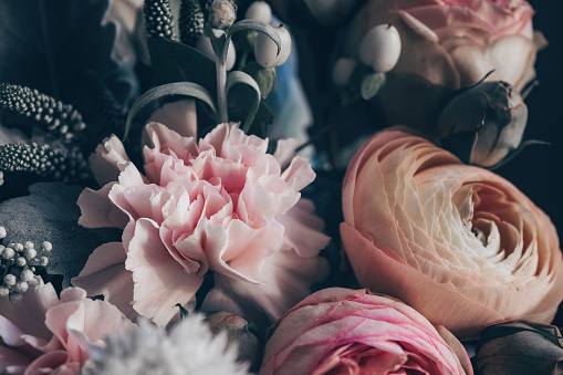 1500+ Flowers Aesthetic Pictures | Download Free Images on Unsplash