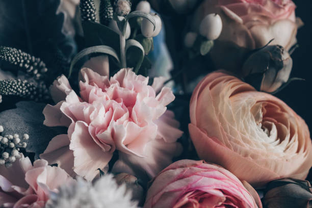 ช่อดอกไม้ที่สวยงาม - โบตั๋น ดอก ภาพสต็อก ภาพถ่ายและรูปภาพปลอดค่าลิขสิทธิ์