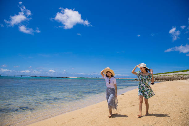 Young female friends walking on beach in summer