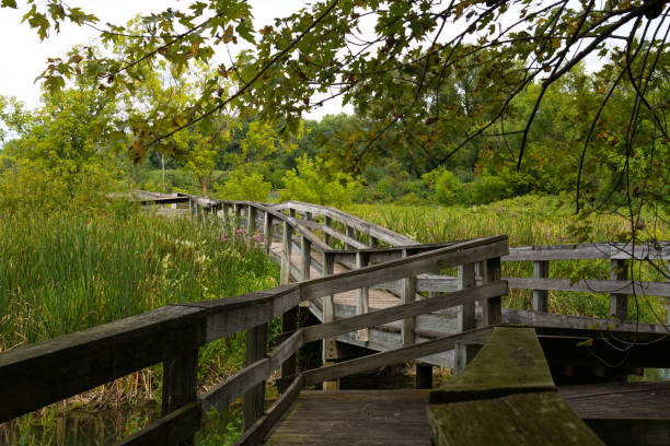 istock Wooden walkway in Rock Cut State Park 1171019534