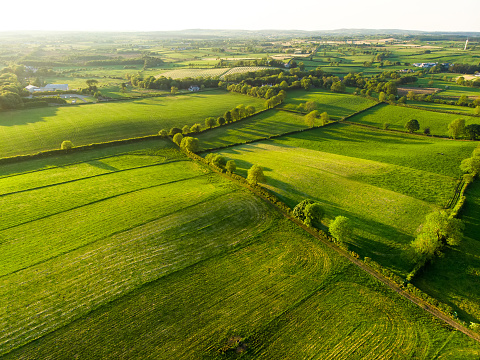 Agricultural fields and farm - view from above