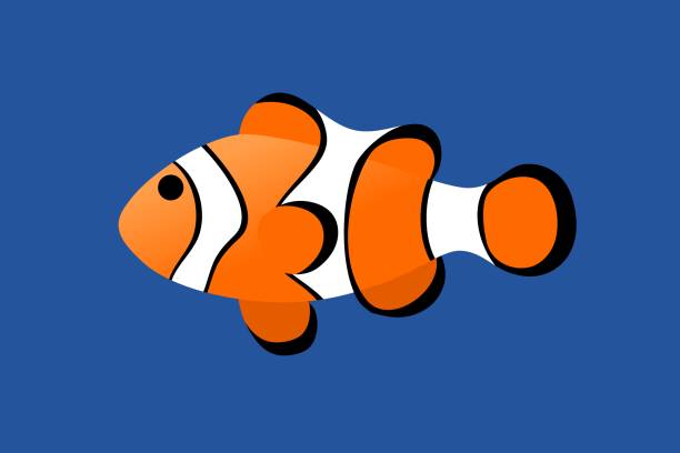 ilustrações, clipart, desenhos animados e ícones de estilo mínimo dos desenhos animados do clownfish na água azul. - tropical fish clown fish isolated animal