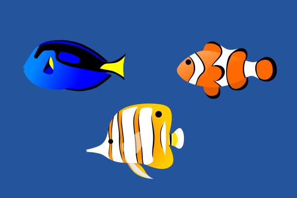 istock Beautiful sea fish set, minimal cartoon style. 1171024784