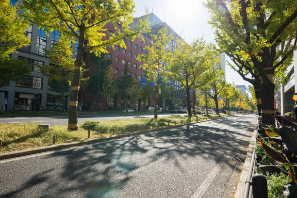 istock Midosuji in autumn 1171028140