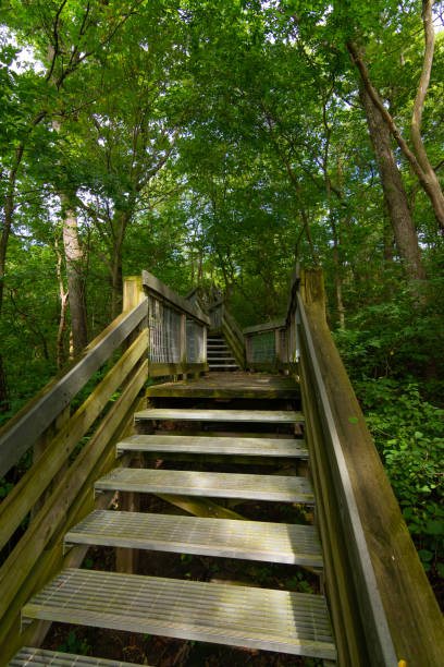 istock Walkway to the overlook 1171031571