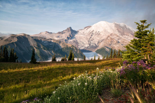 istock Mount Rainier at Sunrise, WA, USA 1171032475