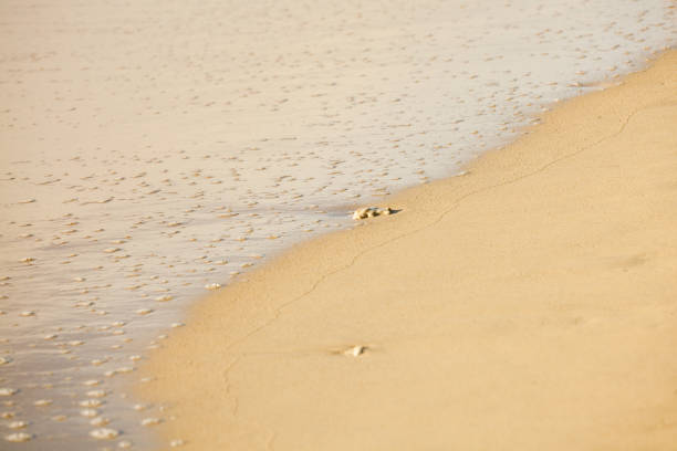 view of a beach before sunset in Thailand.