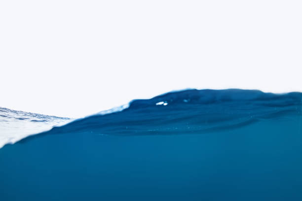 Water Wave. Puring Water on White Background