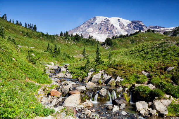 istock Edith Creek at Mount Rainier, WA, USA 1171036298