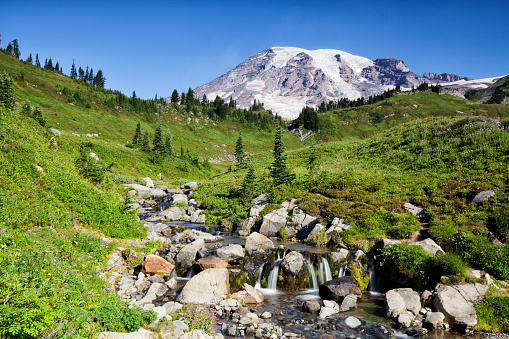 Mount Rainier NP at Paradise in summer.