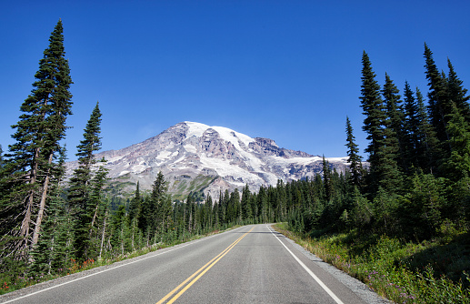 Mount Rainier NP on a summer morning.