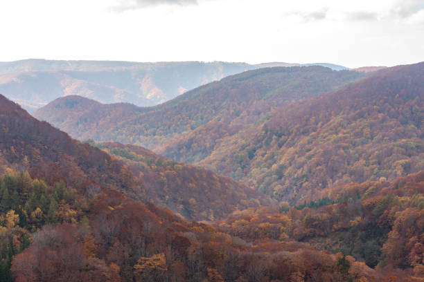 Autumn foliage scenery view, beautiful landscapes. Fall is full of magnificent colours. Entire mountain and valley is bathed in different hues of red, orange and golden colors background