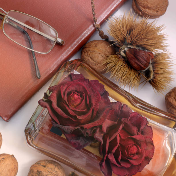 istock Composition. Cognac, a closed book, glasses and chestnuts 1171048091