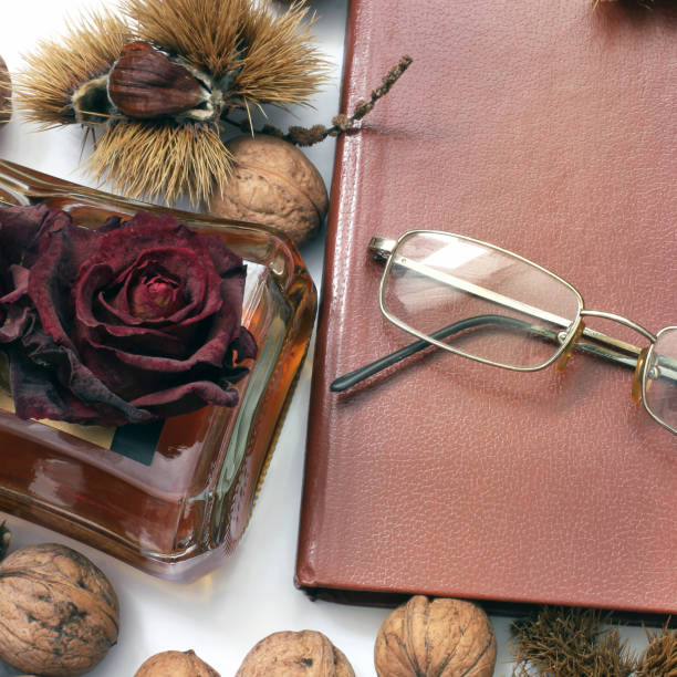 istock Composition. Cognac, a closed book, glasses and chestnuts 1171048184