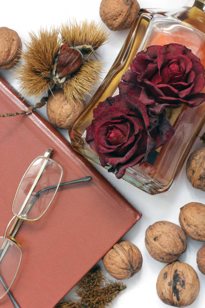 istock Composition. Cognac, a closed book, glasses and chestnuts 1171048186
