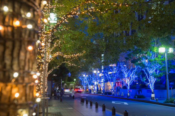 istock Illumination around Yodoyabashi in winter 1171058187